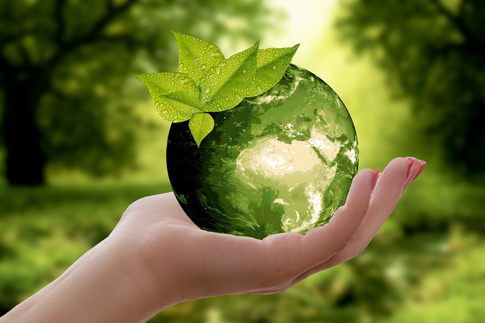 Carbon Footprint Solutions